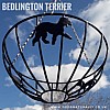 Bedlington Terrier Hanging Basket